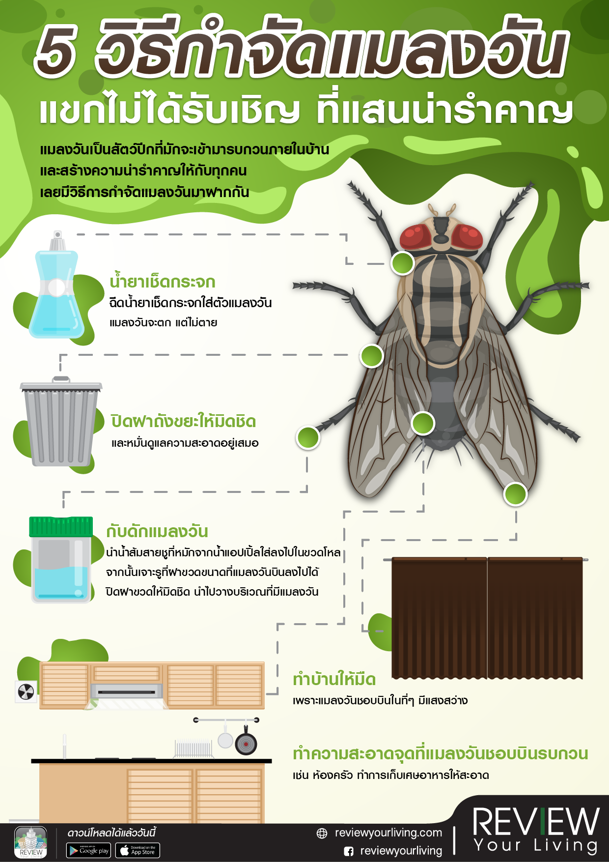 5 วิธีกำจัดแมลงวัน แขกไม่ได้รับเชิญ ที่แสนน่ารำคาญ